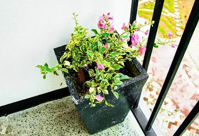 Majatalo Wonder Mount Resort