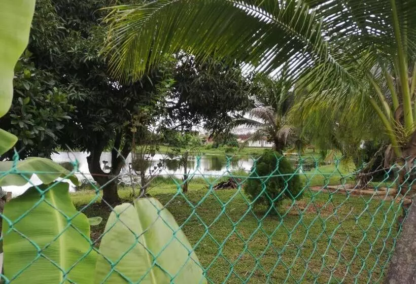 تختخواب و صبحانه Requelstore