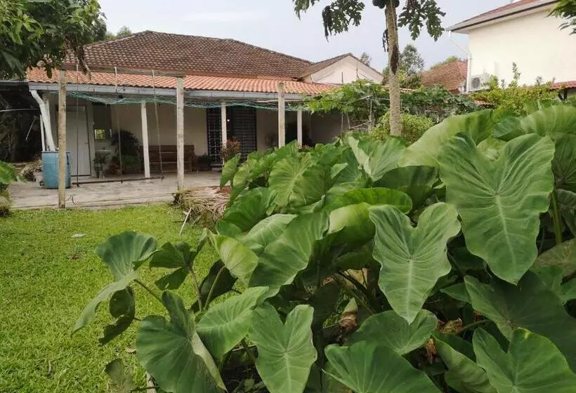 تختخواب و صبحانه Requelstore