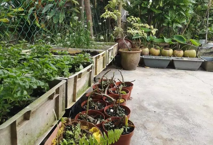 تختخواب و صبحانه Requelstore