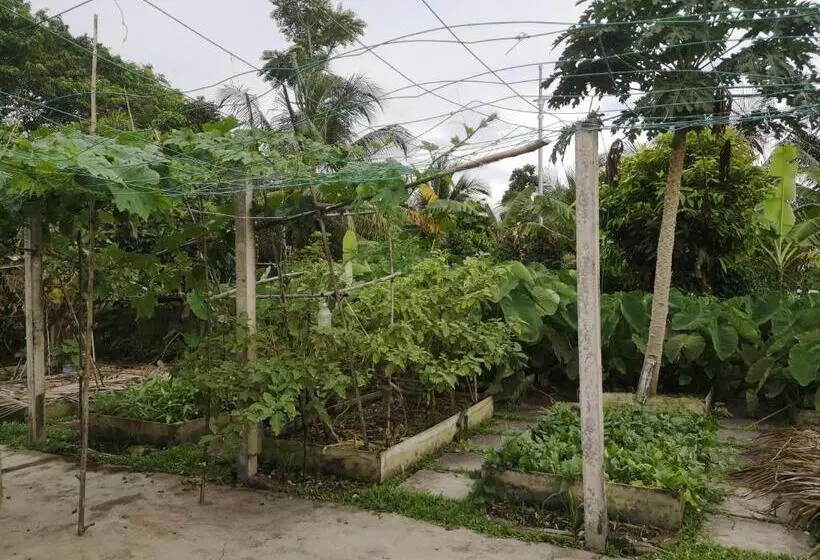 تختخواب و صبحانه Requelstore