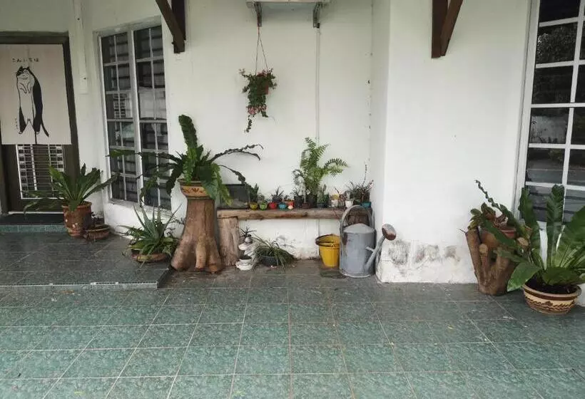 تختخواب و صبحانه Requelstore