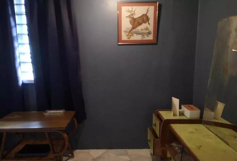 تختخواب و صبحانه Requelstore