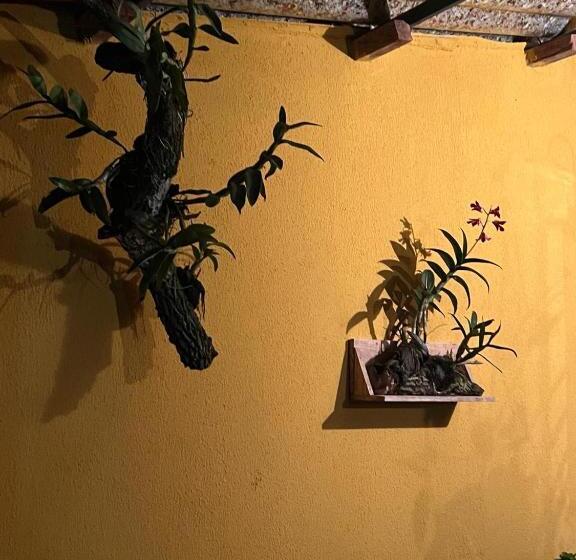 Hostel Pousada Recanto Do Tucano