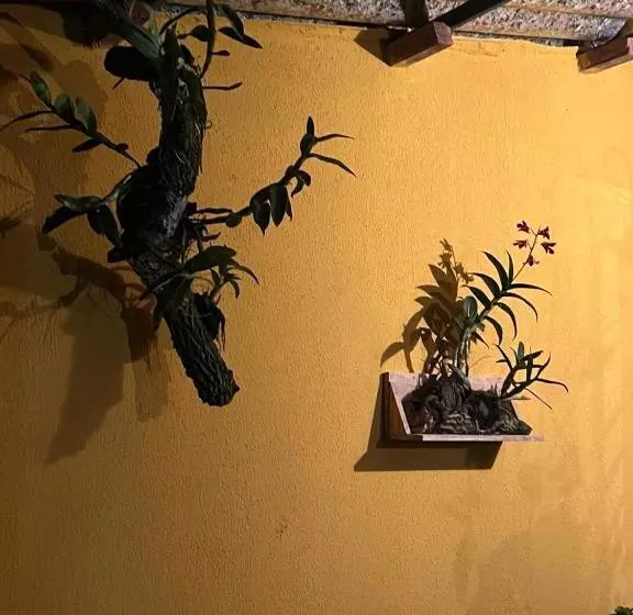 ユースホステル Pousada Recanto Do Tucano