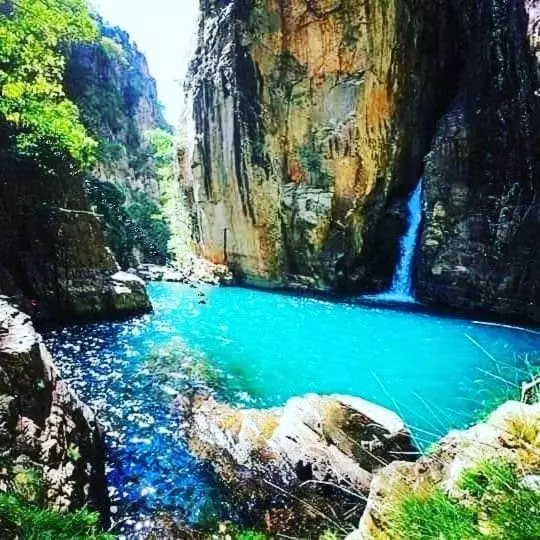 ユースホステル Pousada Recanto Do Tucano