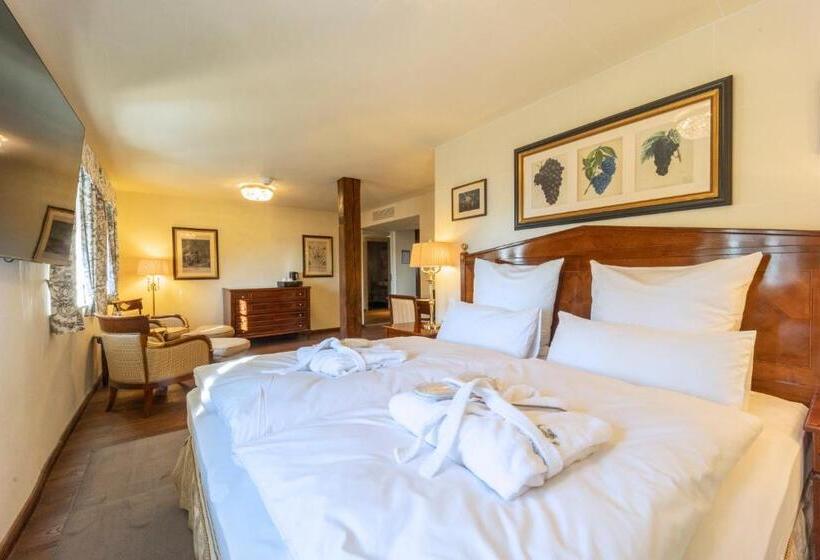 ホテル Schloss Frankenberg