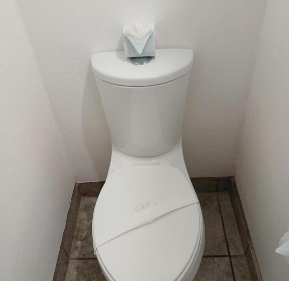 Pension Casa Y Estudios Manzanilla