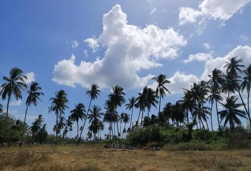 הוסטל Teriang Village Inn