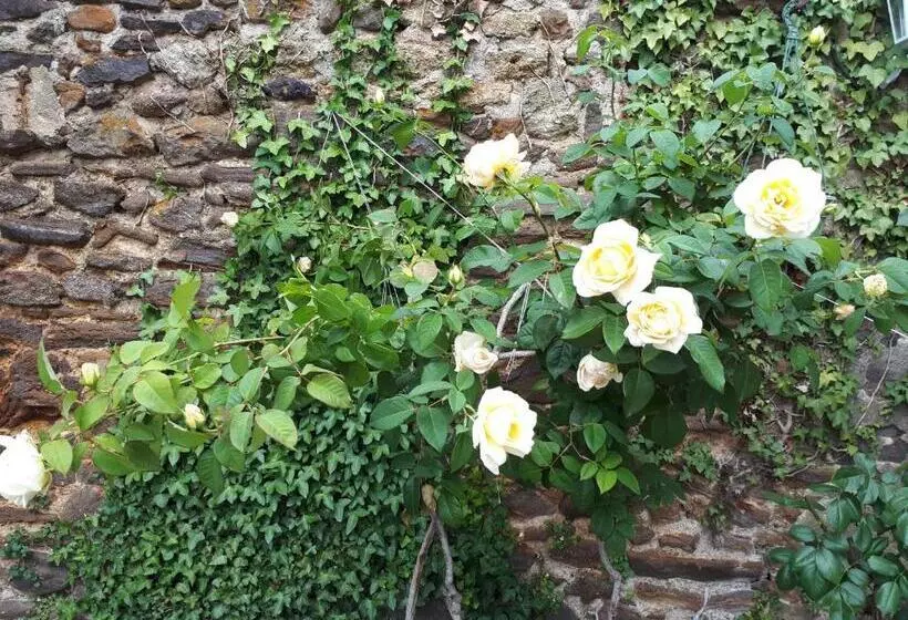 تختخواب و صبحانه La Maison D`hôtes De Constance