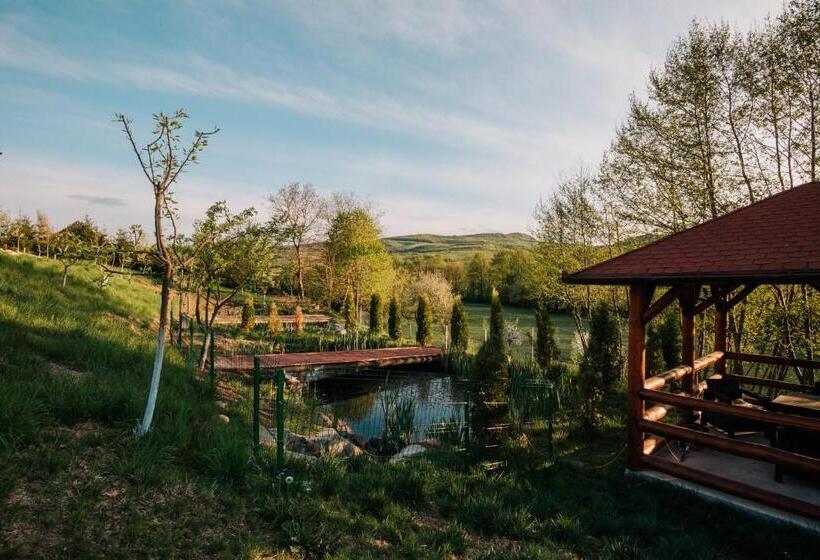 تختخواب و صبحانه Pensiunea Biz Panzió