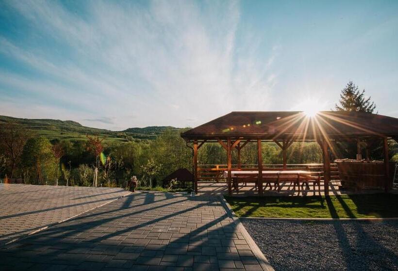 تختخواب و صبحانه Pensiunea Biz Panzió