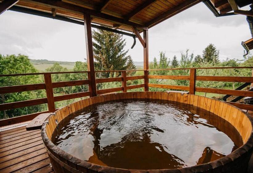 تختخواب و صبحانه Pensiunea Biz Panzió