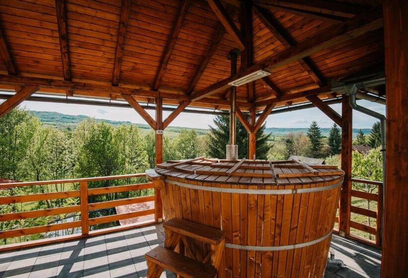 تختخواب و صبحانه Pensiunea Biz Panzió