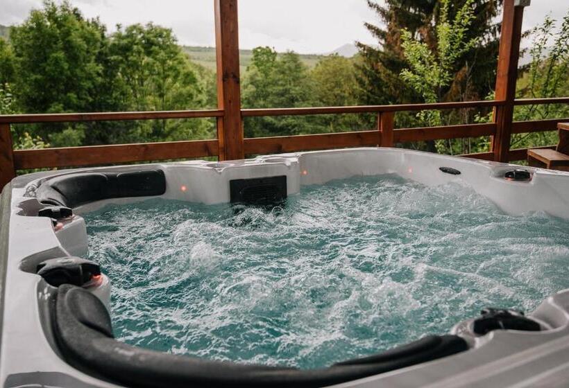 تختخواب و صبحانه Pensiunea Biz Panzió