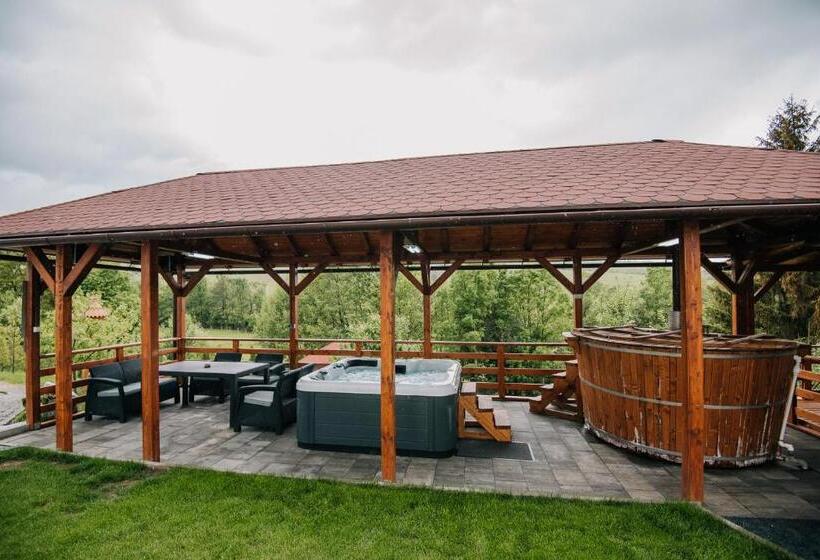 تختخواب و صبحانه Pensiunea Biz Panzió