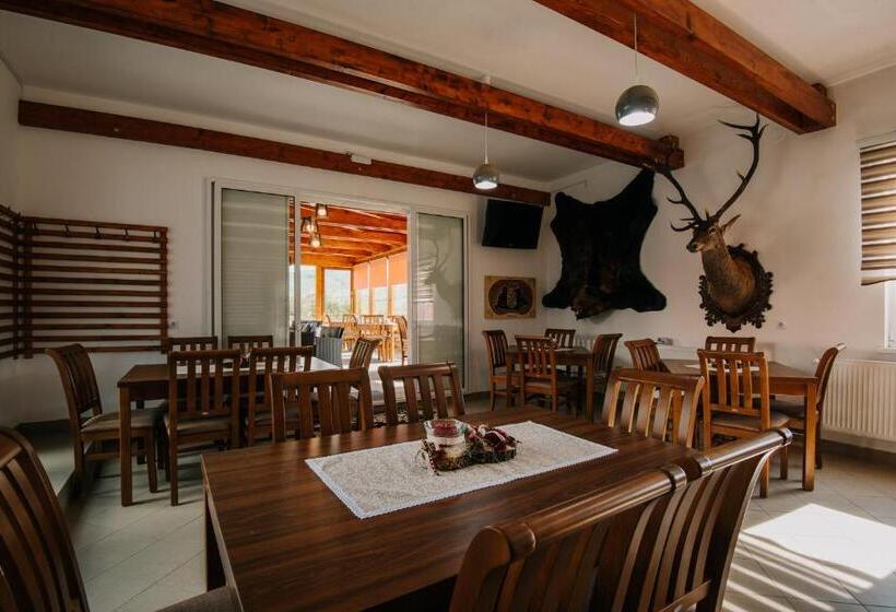 تختخواب و صبحانه Pensiunea Biz Panzió