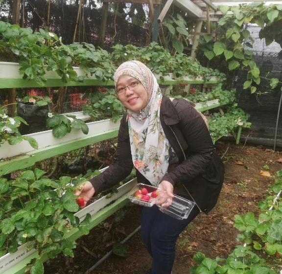 膳宿费 Strawberry Rest House Mesilou Kundasang