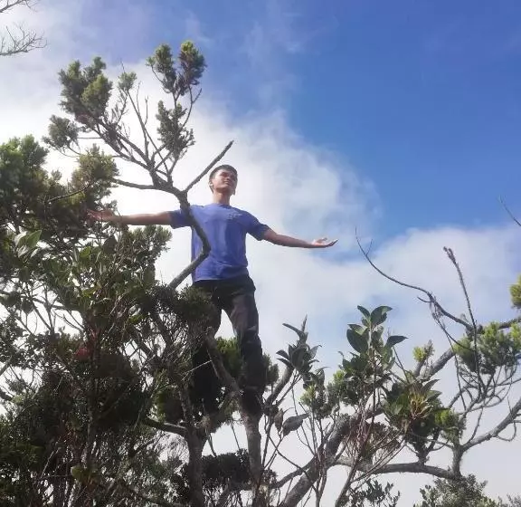 ペンション Strawberry Rest House Mesilou Kundasang