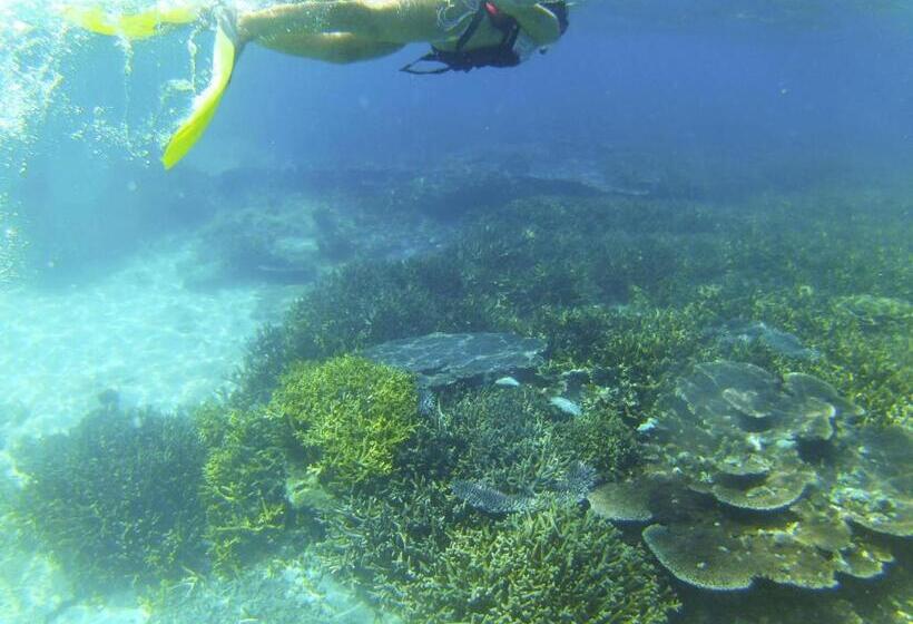 אתר נופש Nazri S Place 2