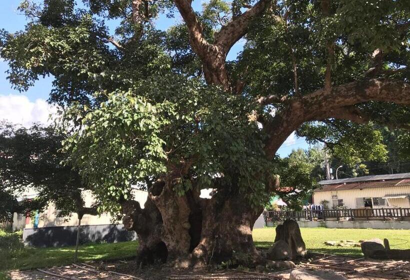 هاستل 山同青旅背包客棧