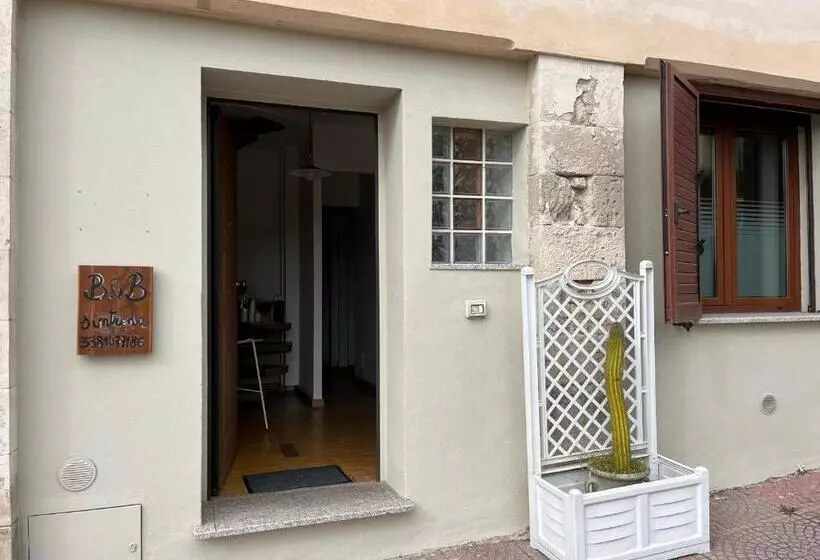 B&b S Intrada