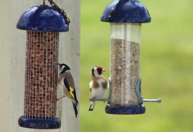 צימר Luachra Lodge