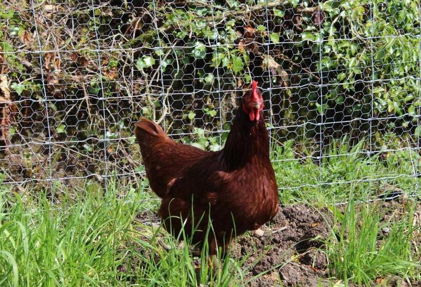 צימר Luachra Lodge