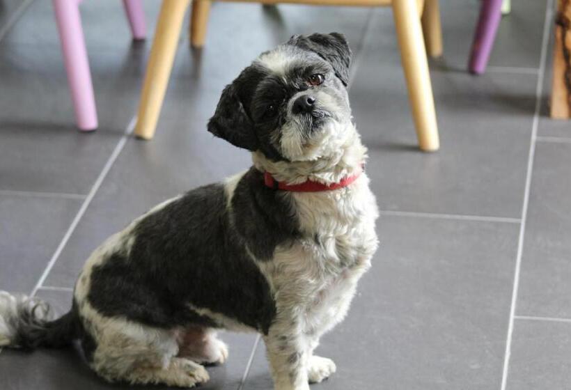 צימר Luachra Lodge