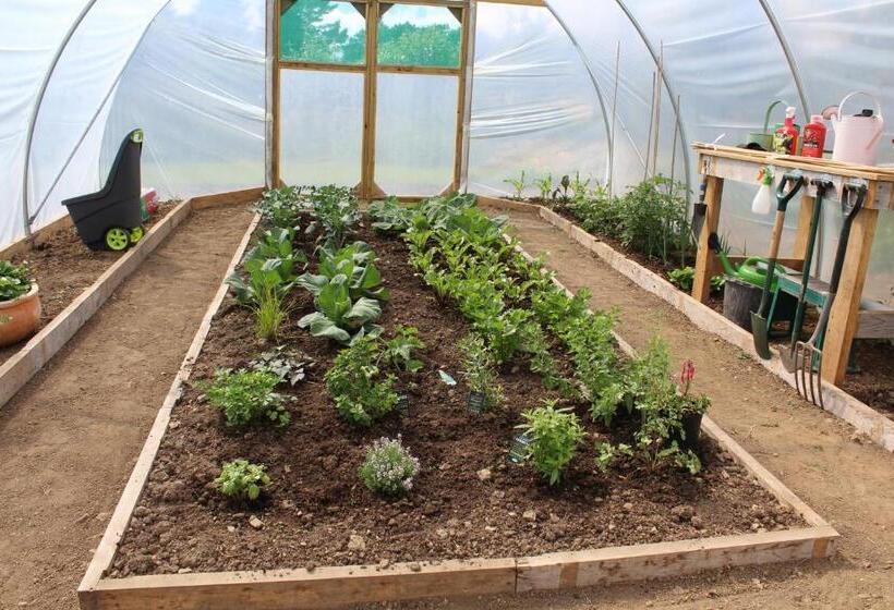 צימר Luachra Lodge