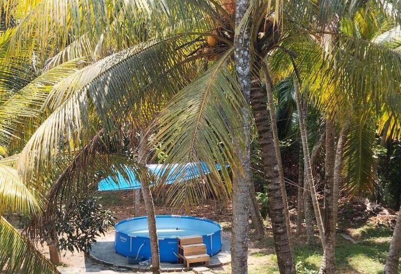 مبيت وإفطار Tropical Paradise