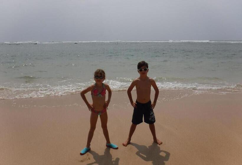 مبيت وإفطار Tropical Paradise