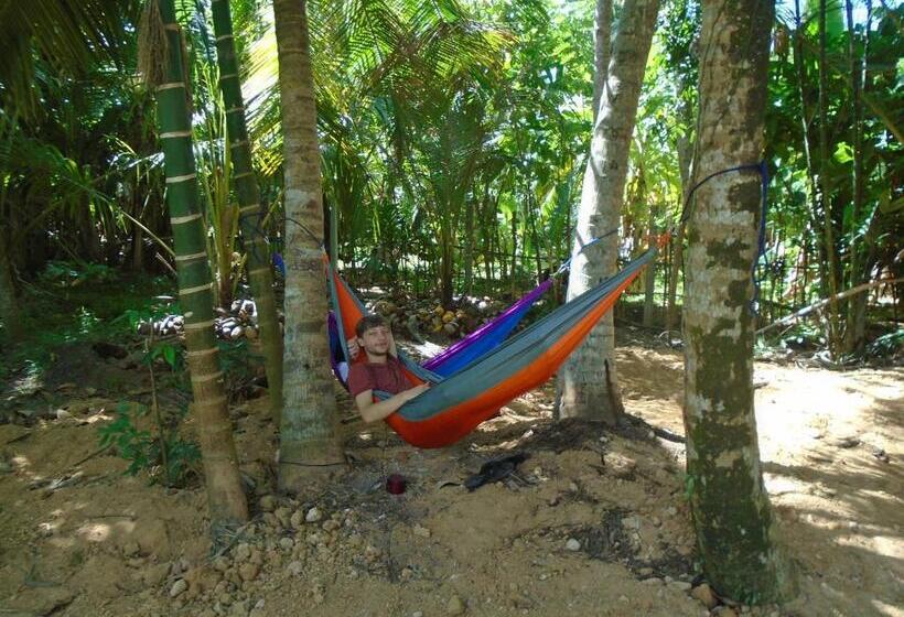 مبيت وإفطار Tropical Paradise