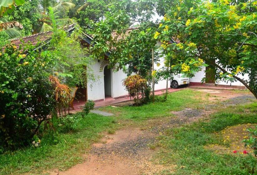 مبيت وإفطار Tropical Paradise