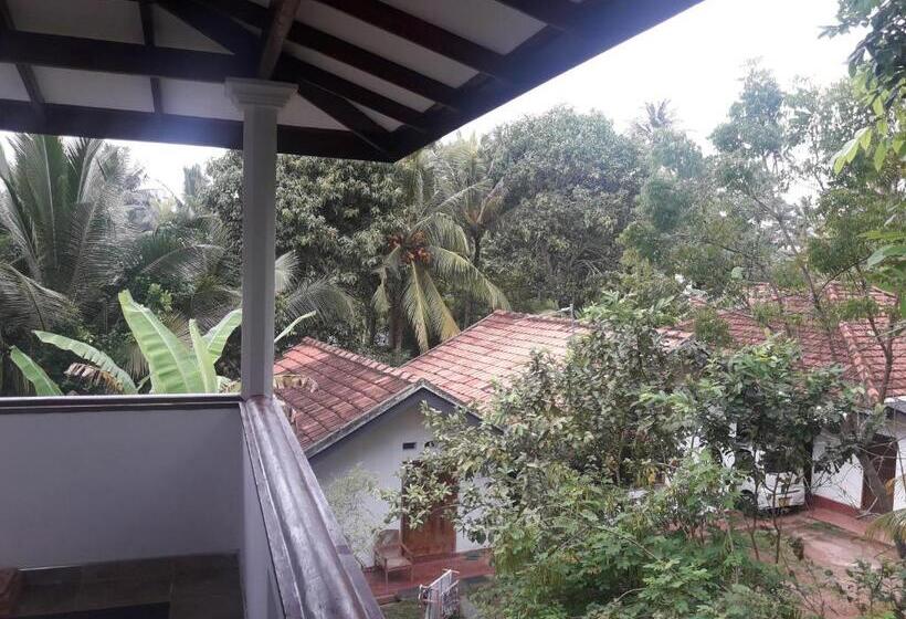 مبيت وإفطار Tropical Paradise