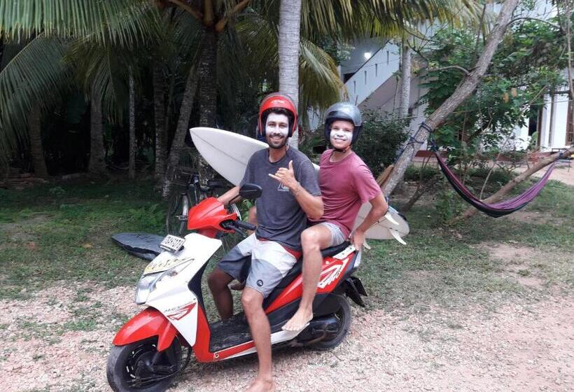 مبيت وإفطار Tropical Paradise