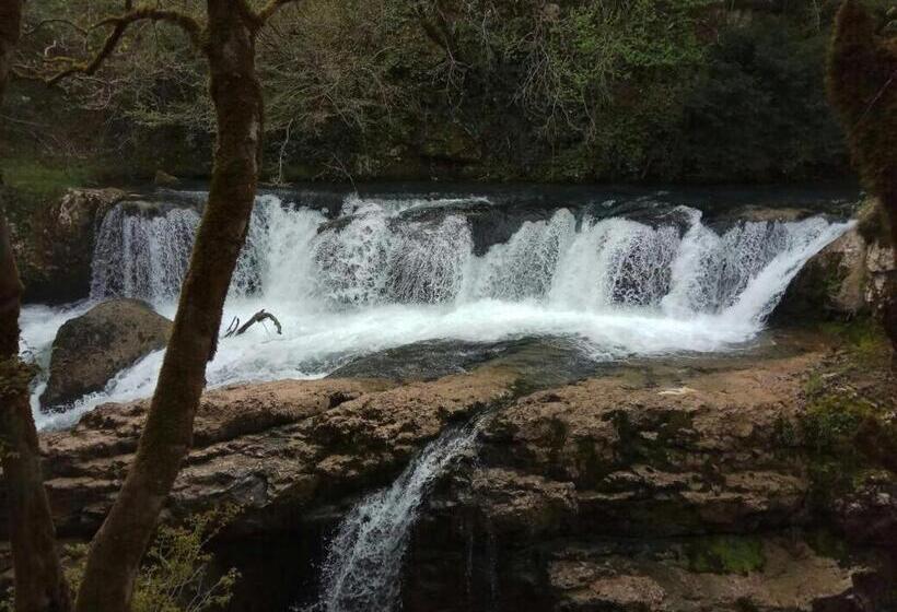 پانسیون Guest House Danelia