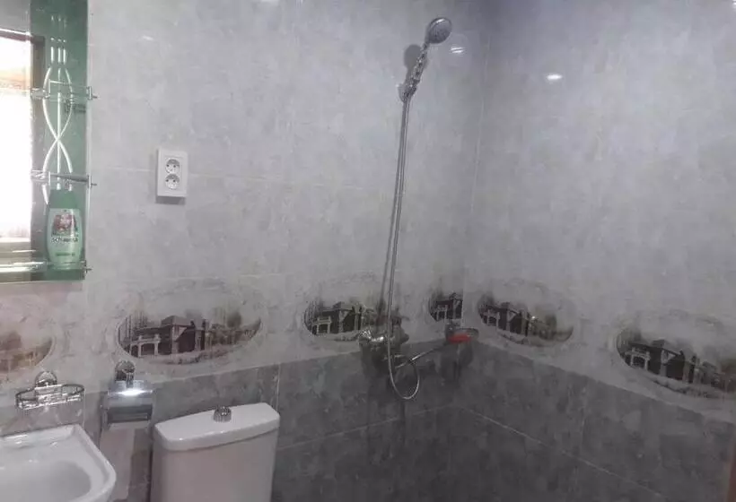 پانسیون Guest House Danelia