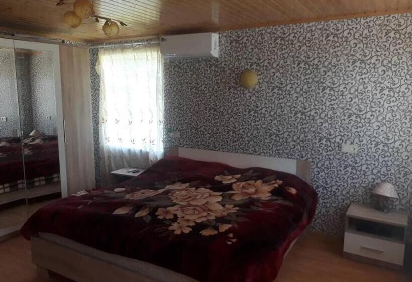 پانسیون Guest House Danelia