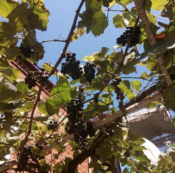 پانسیون Guest House Danelia