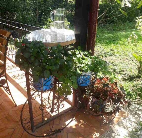 پانسیون Guest House Danelia