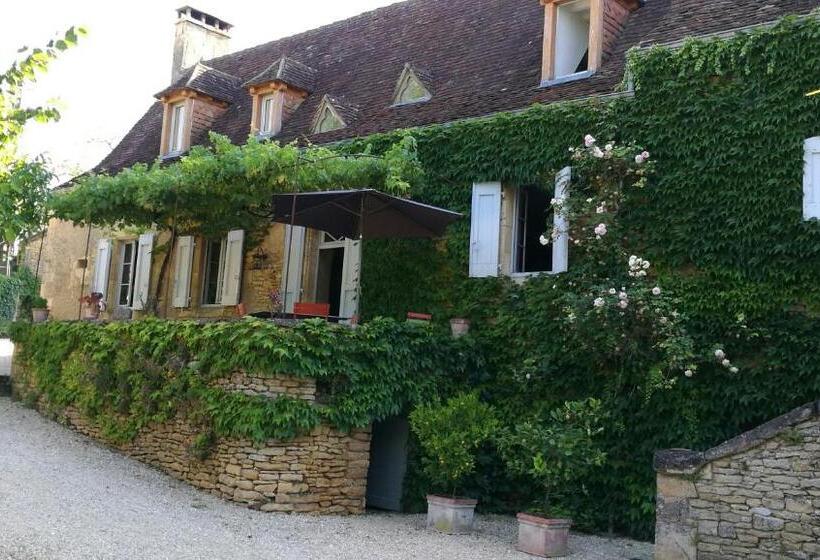 פנסיון La Vignolle