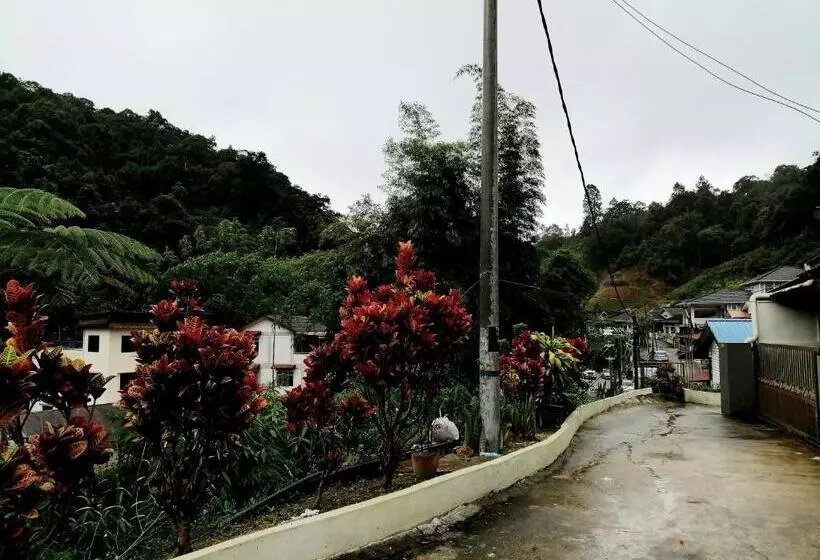 ペンション Sakura Guest House