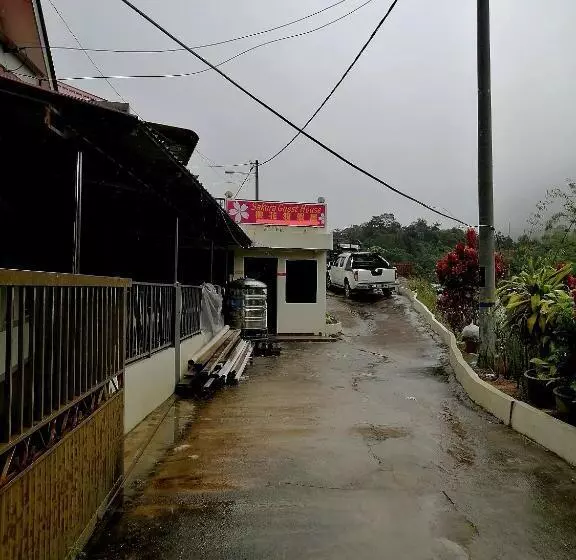 ペンション Sakura Guest House