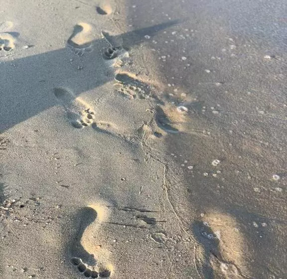 ユースホステル Lev