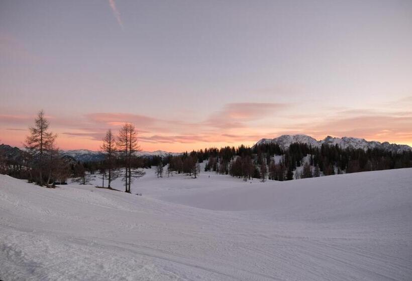 Alpenhotel Steirerhof