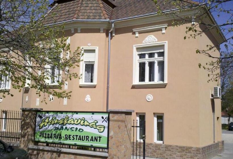 Nocleg ze śniadaniem Hársfavirág Vendégház