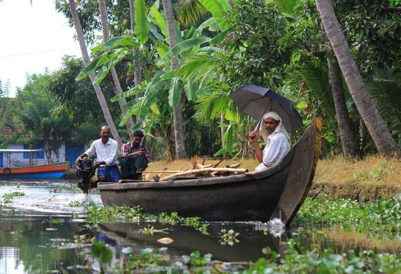 Bed and Breakfast Paradise Inn Guest House