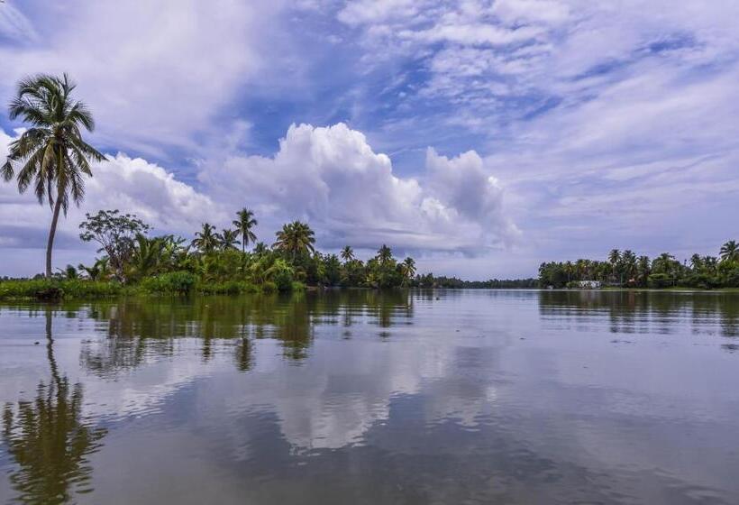 Bed and Breakfast Paradise Inn Guest House