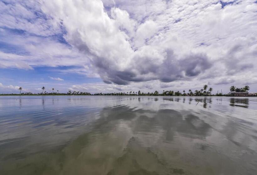 Bed and Breakfast Paradise Inn Guest House